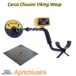Cerca Chiusini Viking Wasp