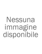 APRICHIUSINI